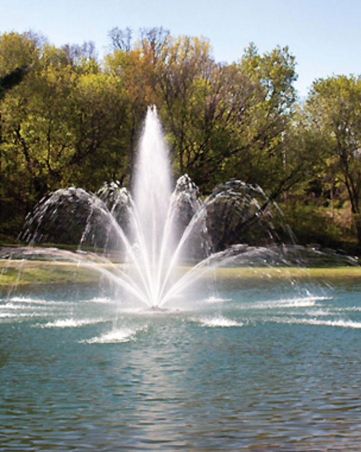 Boost Your Pond’s Appeal: 5 Benefits of a High-Quality Fountain Pond Pump
